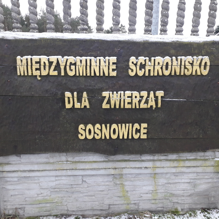 Zbiórka dla schroniska w Sosnowicach