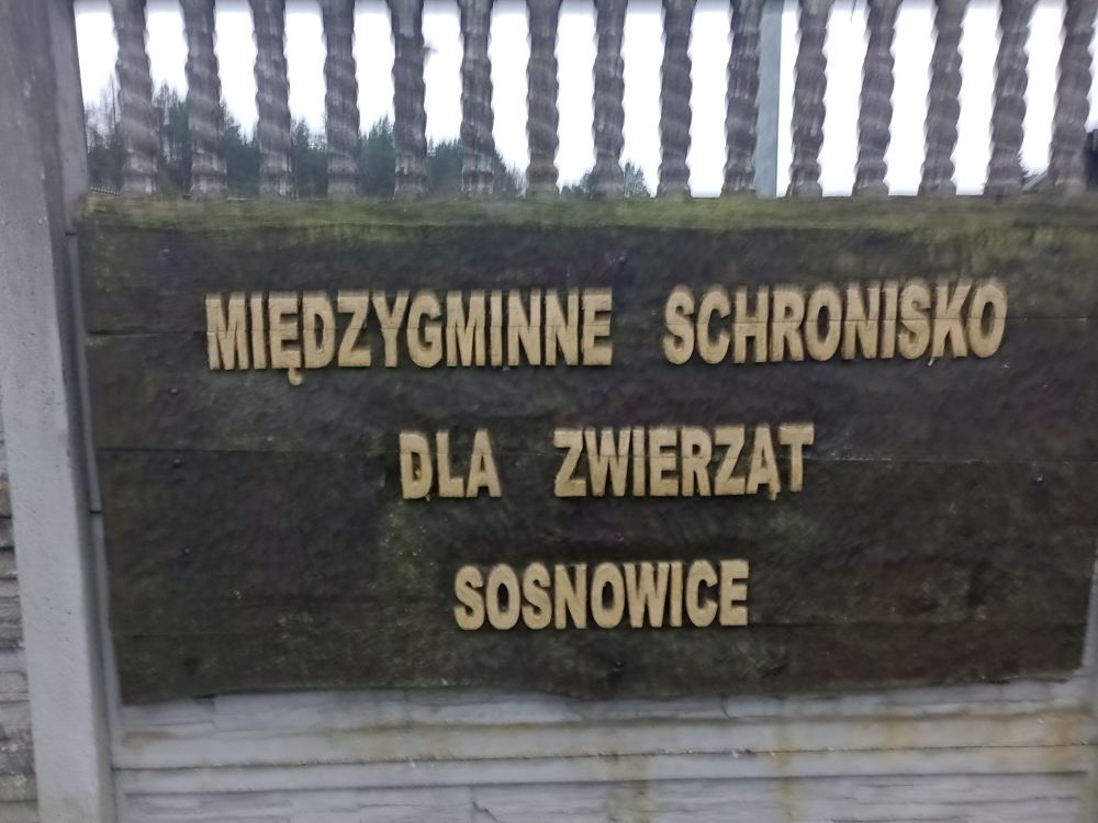 Schronisko Komunalne dla Bezdomnych Zwierząt w Sosnowicach