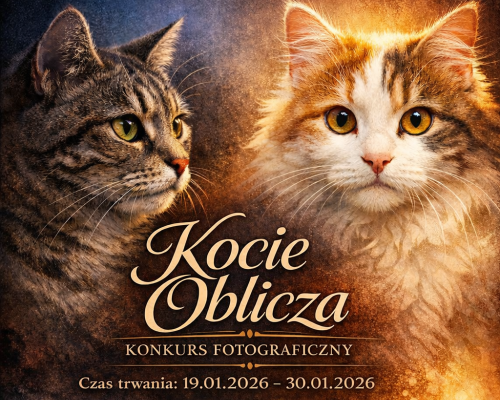 Konkurs fotograficzny "Kocie oblicza"