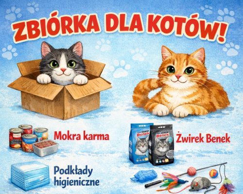 Zbiórka dla kotów