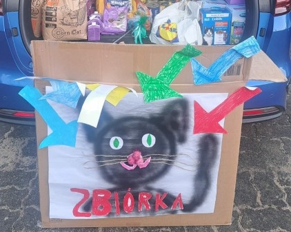 Zbiórka dla kotów