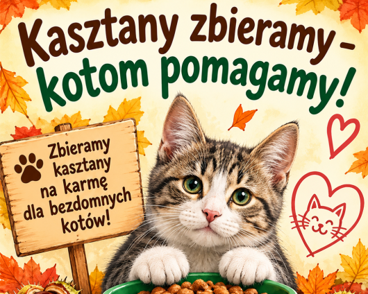 Plakat akcji: Kasztany zbieramy – kotom pomagamy!
